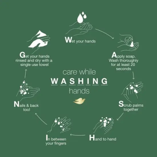 Dove Beauty Foaming Hand Wash Soap - 10.1 fl oz image {2}