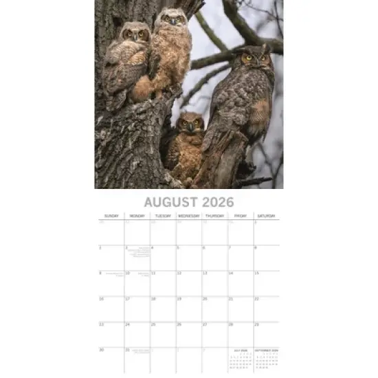 2026 Square Wall Calendar, Owls, 16-Month Animals Theme with 180 Reminder Stickers (12x12 In) image {2}