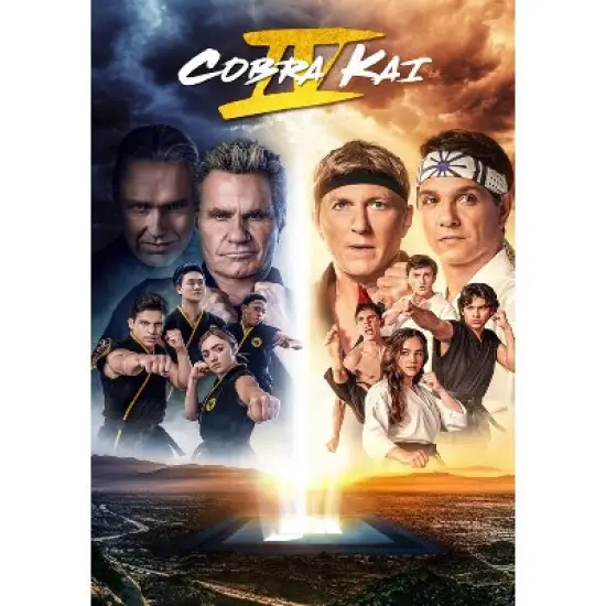 Cobra Kai - Season 4 (DVD) image {1}