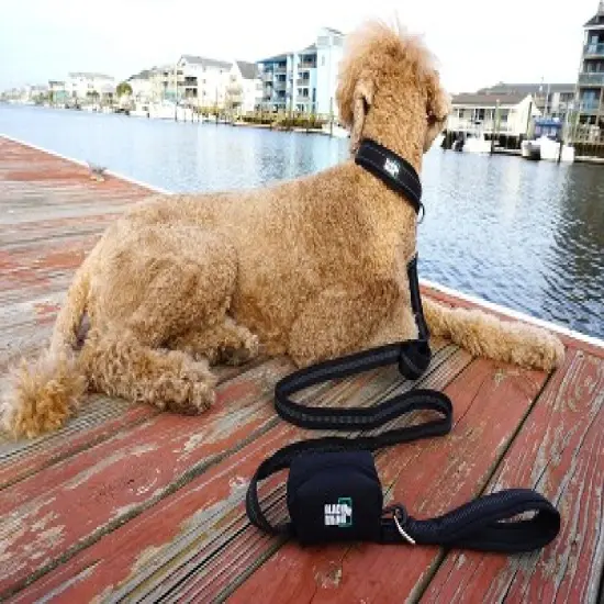 Black Rhino Dog Leash - 6ft Long Leash w/ Padded Comfort Handles & Reflective Lead - Black image {2}