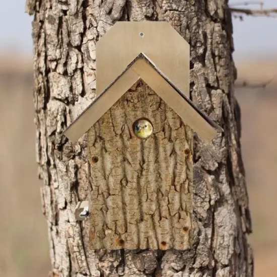 Uncle Dunkels Ultimate Wren and Chickadee Birdhouse; Rustic Handmade Small Bird Nesting Box image {3}