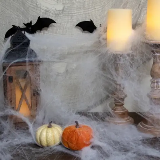 Northlight Stretchable Spider Web Halloween Decoration - White image {1}