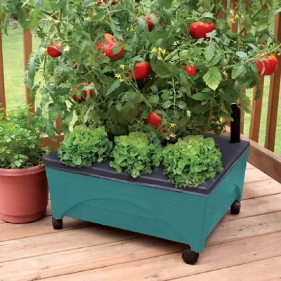 Emsco Little Pickers Raised Bed Children's Grow Box Rectangular Outdoor Planter Teal Green 24"x20"x30": Kids Gardening Accessory image {8}