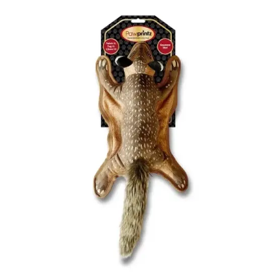 Pawprintz Squirrel Dog Toy image {5}