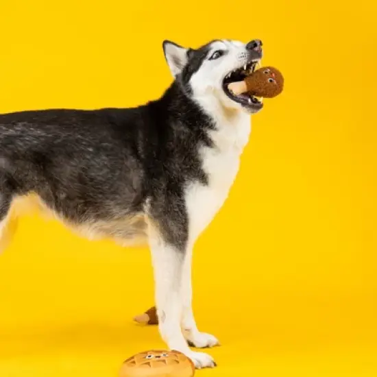 PetShop by Fringe Studio Waffle and Chicken Dog Toys - 3pk image {6}