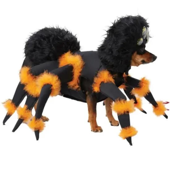 California Costumes Spider Pup Pet Costume, Medium image {1}