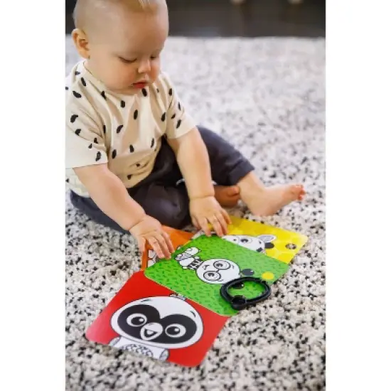 Baby Einstein Black White and Bright Floor Mirror image {9}