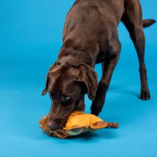 PetShop by Fringe Studio Lion Durable Dog Plush Toy image {3}