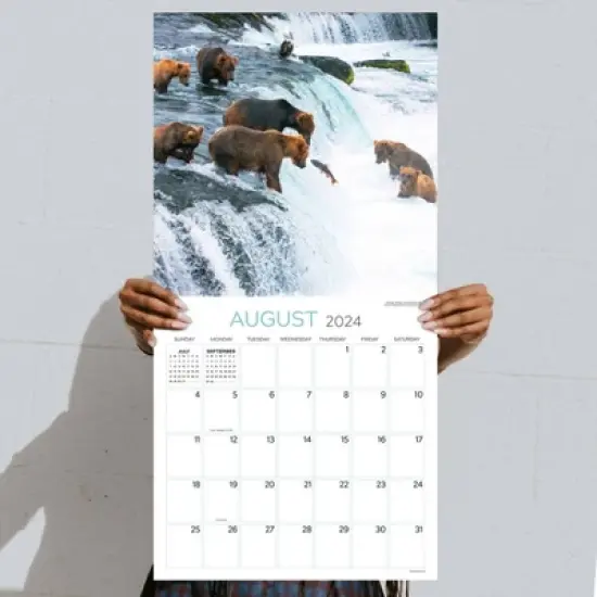 TF Publishing 2024 Wall Calendar 12"x12" Wild image {3}