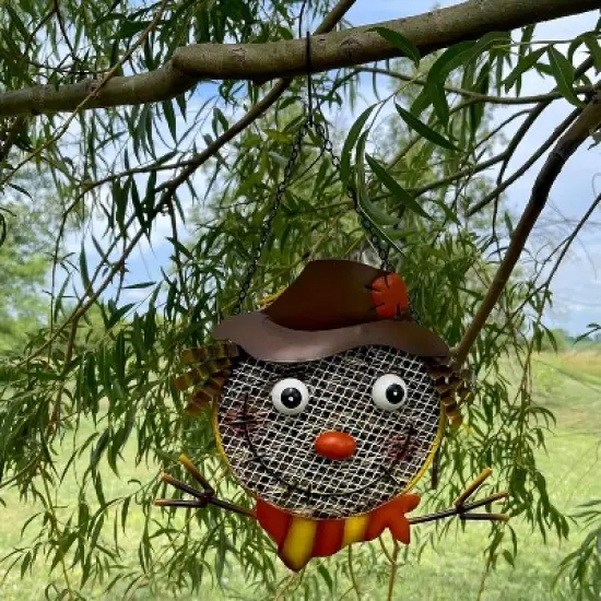 Gift Essentials Metal Assorted Scarecrow Mesh Bird Seed Feeder - 9" image {5}
