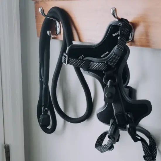 HOOZA Rope Dog Leash - 1" x 5', Dog Outdoor Accessory - Magnetic Quick Clip, Heavy Duty image {3}