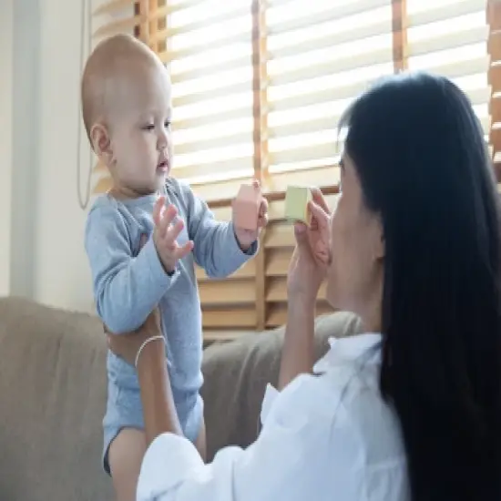 Plantoys| Sensory Blocks image {6}