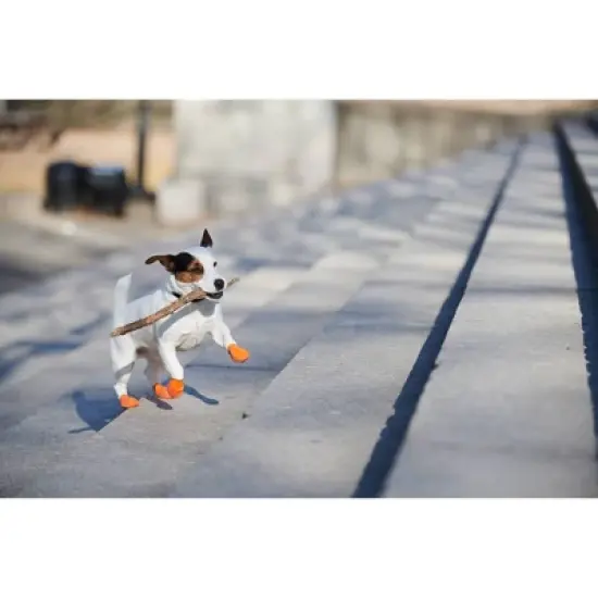 Pawz 12pc Rubber Dog Boots image {7}