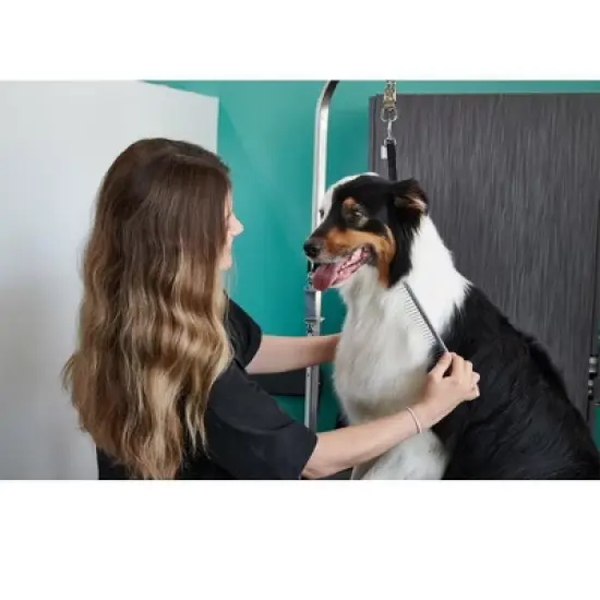 Groomer Essentials Large Coarse Comb image {1}