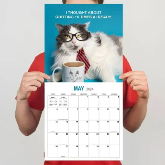 TF Publishing 2024 Wall Calendar 12"x12" Cooperate Cats image {3}