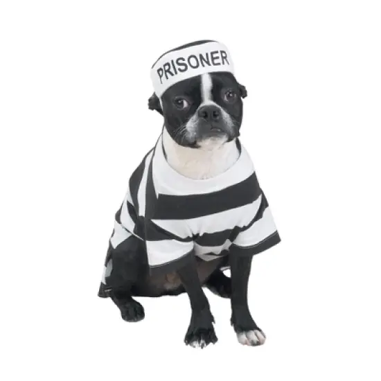 Casual Canine Prison Pooch Costume image {2}