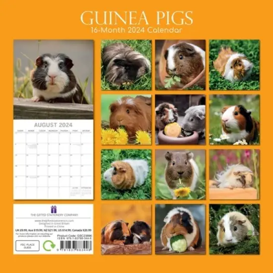 The Gifted Stationery 2024 Square Wall Calendar, Guinea Pigs, 16-Month Animals Theme with 180 Reminder Stickers (12 x 12 In) image {3}