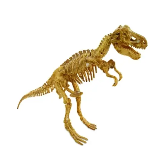 MindWare Dig It Up! Tyrannosaurus Rex 3D Skeleton image {3}