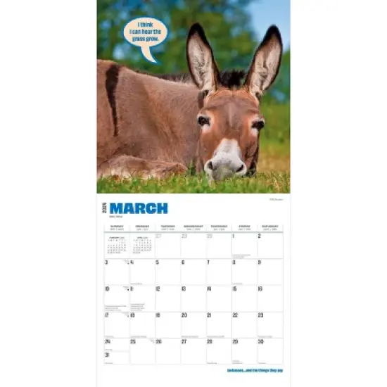 Browntrout 2024 Wall Calendar 12"x12" Jackasses image {2}