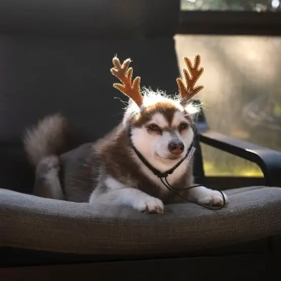 Midlee Furry Antlers Dog Headband image {4}