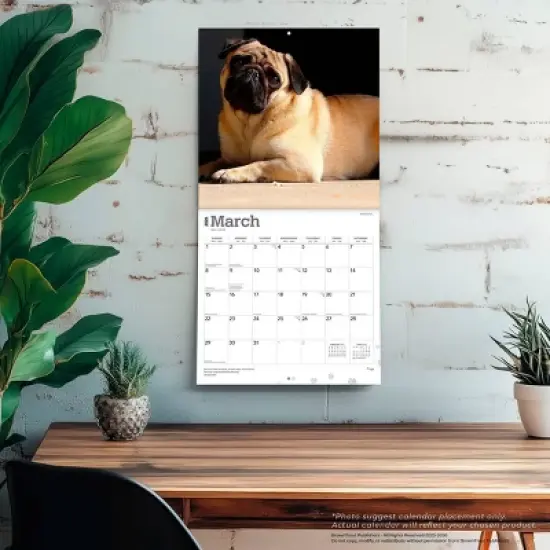 BrownTrout Pugs 2026 12"x24" Hanging Square Wall Calendar Plastic-Free image {4}