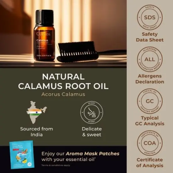 Calamus Essential Oil for Hair - 0.34 Fl Oz - Gya Labs Calamus Oil for Diffuser, Skin, Aromatherapy, Massages & Candle Making Scent image {5}