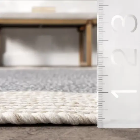 nuLOOM Indoor/Outdoor Braided Solid Border Delaine Area Rug image {2}