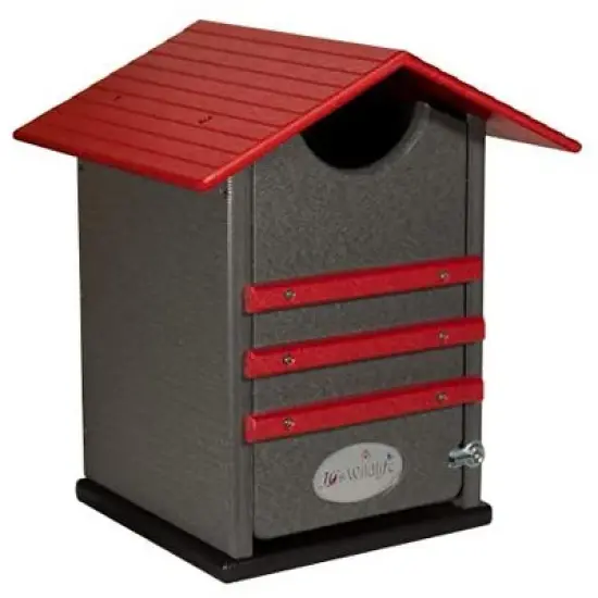 Ultimate Poly Screech Owl or Saw-Whet Owl House Nesting Box image {12}