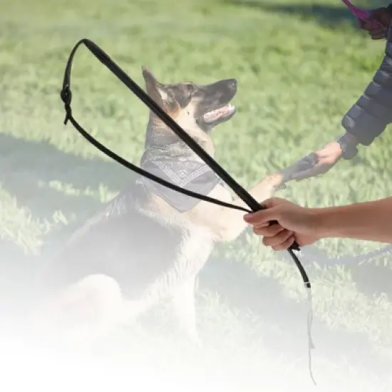 Unique Bargains Dog Training Whip 20.87" Rod Length Black 1 Pc image {3}