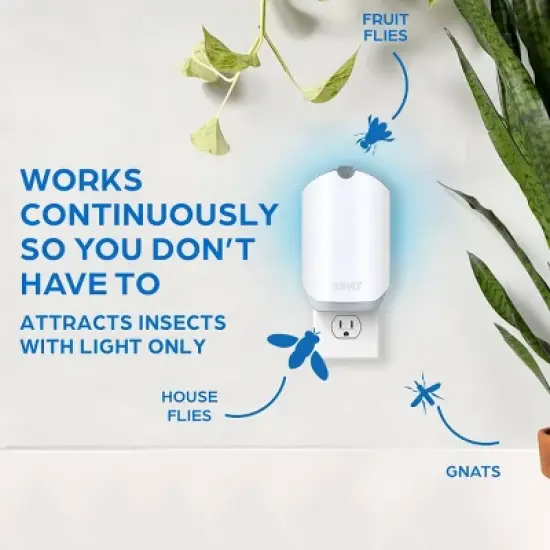 Zevo Indoor Flying Insect Trap Starter Kit for Fruit flies, Gnats, and House Flies - 4ct image {1}