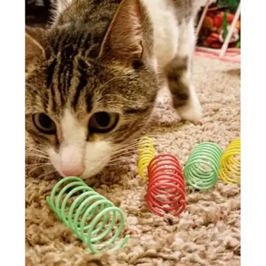 Spot Thin & Colorful Springs Cat Toy - 10 Pack image {1}