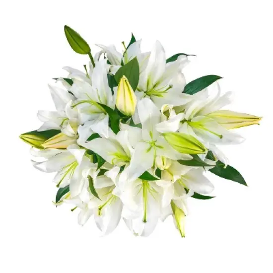 Fresh Cut Oriental Lily Flowers - 30 Stems image {9}