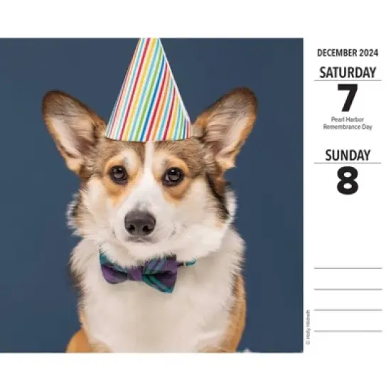 Willow Creek Press 2024 Daily Desk Calendar 5.2"x6.2" Corgis image {2}