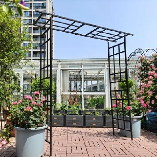 Dolonm Metal Garden Arch with Gate Climbing Plants Support Rose Arch Outdoor Black image {8}
