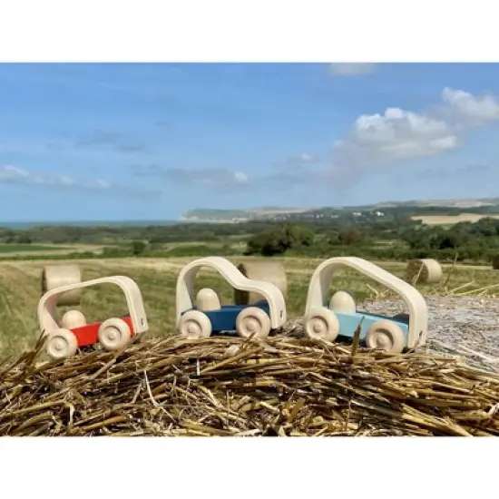 Plantoys| Vroom Car image {6}