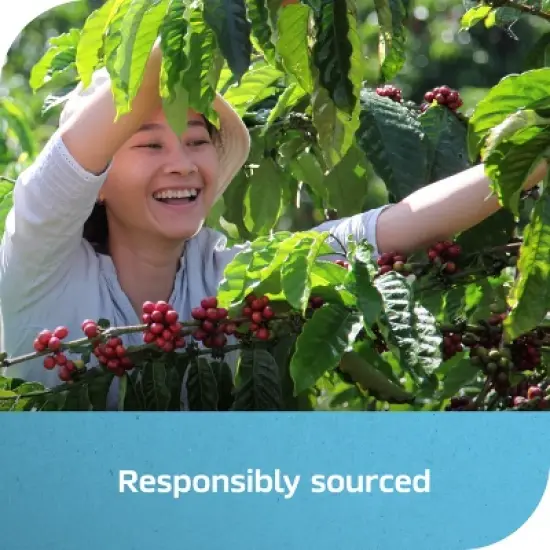 Nescafe Iced Roast - 6oz image {6}