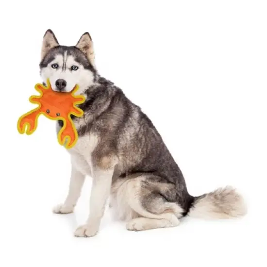 DuraForce Crab Dog Toy  - Orange image {3}