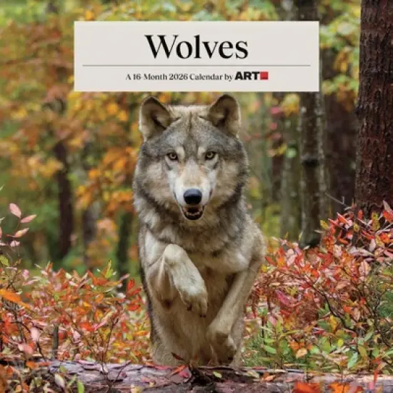 Trends International 2026 Wolves 12"x12" Wall Calendar image {7}