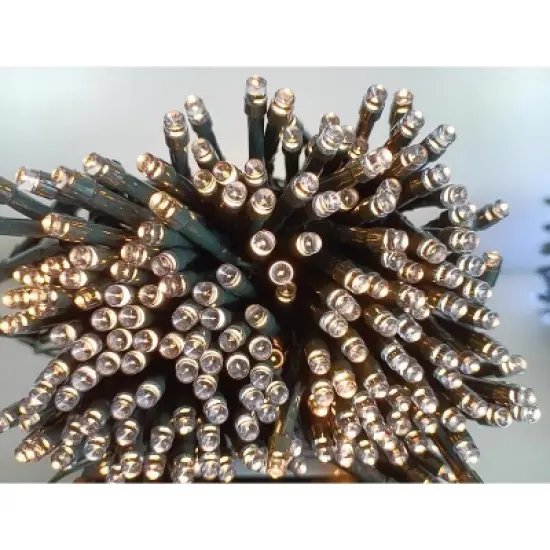 Celebrations LED Micro/5mm Clear/Warm White 100 ct String Christmas Lights 16.24 ft. image {1}