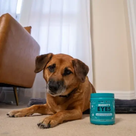 Mighty Paw Waggables Mighty Eyes | Dog Tear Stain & Vision Support Chews, 120 Ct image {3}