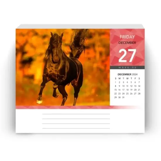 Browntrout 2024 Daily Calendar 5"x6" Horse Lovers image {4}