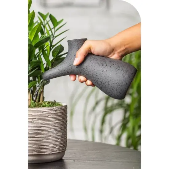 Hepworth Black Stoneware Watering Pitcher image {1}