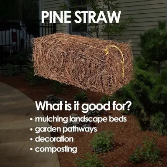 Garden Elements Long Leaf Pine Straw Bale for Mulch, Soil Amendment and Fall Decoration, 24.5" image {3}
