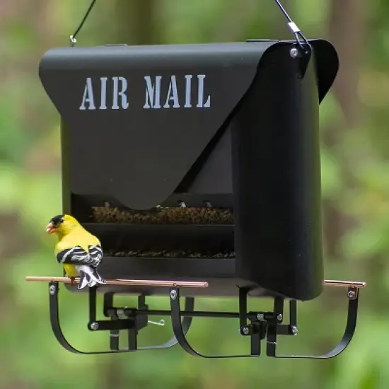 Woodlink Modern Farmhouse Absolute Squirrel Resistant Air Mail Weight Sensitive Bird Feeder - Black/White image {2}