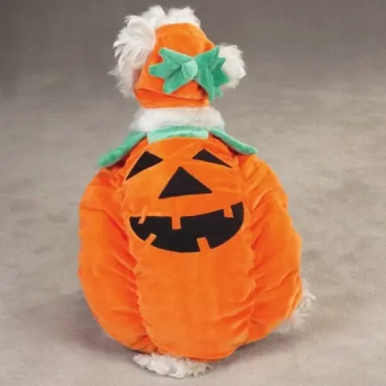 Zack & Zoey Pumpkin Pooch Dog Costume image {3}