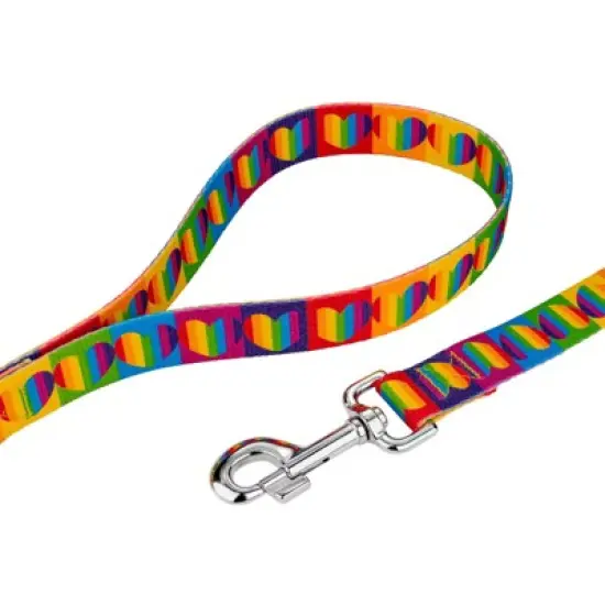Country Brook Petz 6 Foot Dog Leash - Affection Collection image {2}