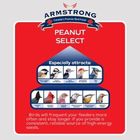 Armstrong Wild Bird Food Peanut Select Suet Cake, 33.9oz (Pack of 3) image {2}