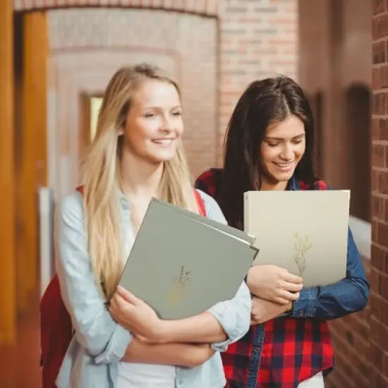 Aesthetic 3 Ring Binder Set of 2 - 1 Inch, Fits Letter Size - Beige-Green with Pockets - For School, Office, Work - Office Products image {4}