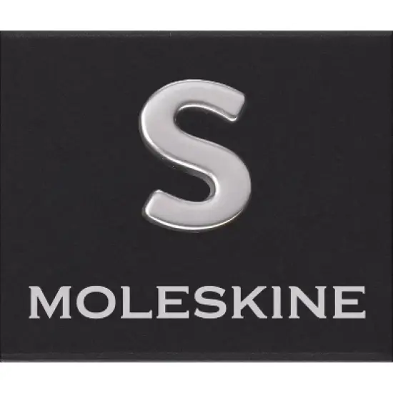 Moleskine Pins S Silver image {2}