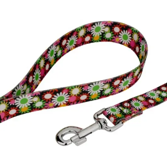 Country Brook Petz Daisy Fields Deluxe Dog Collar and Leash image {4}